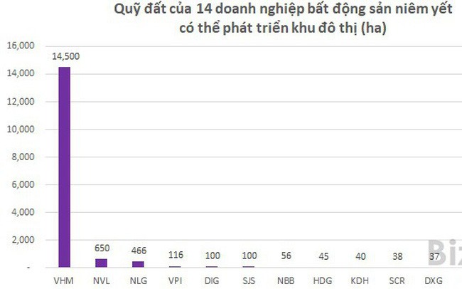 quy-dat-bat-dong-san-chu-dau-tu-viet-nam