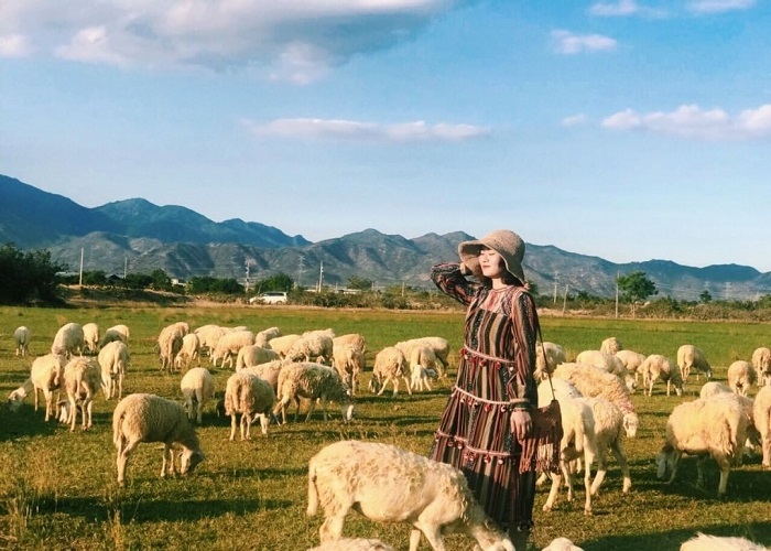 Mũi Dinh Eco Park - Cap Padaran Mũi Dinh Ninh Thuận