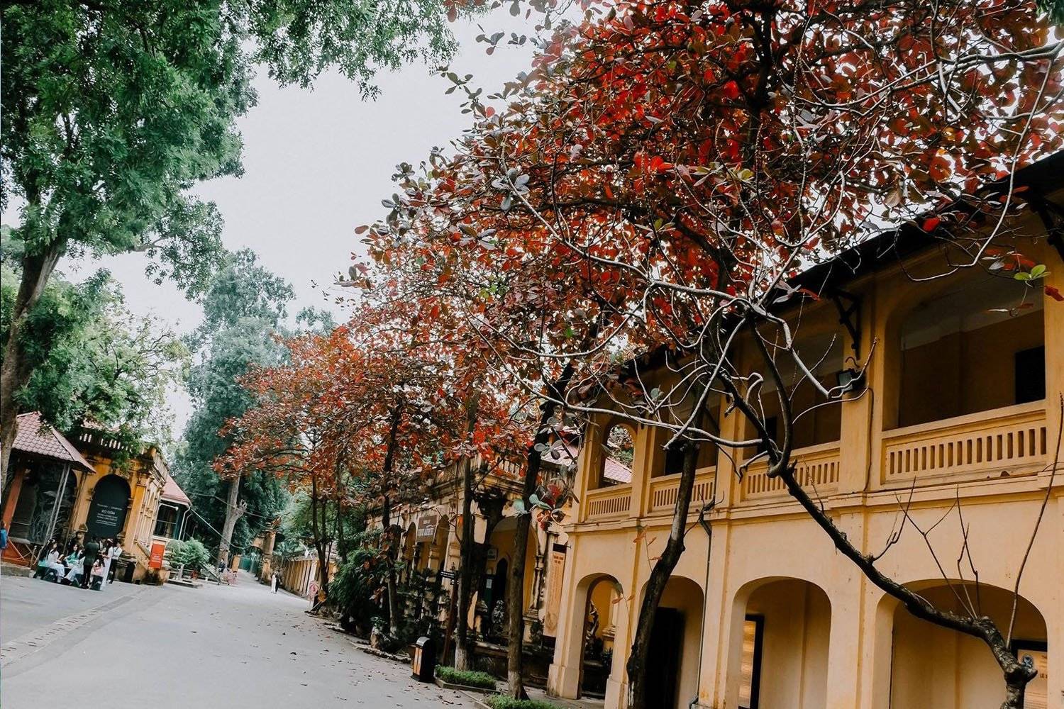 phố cổ Hà Nội ở Việt Nam - shophouse là gì phố cổ Hà Nội ở Việt Nam - shophouse là gì
