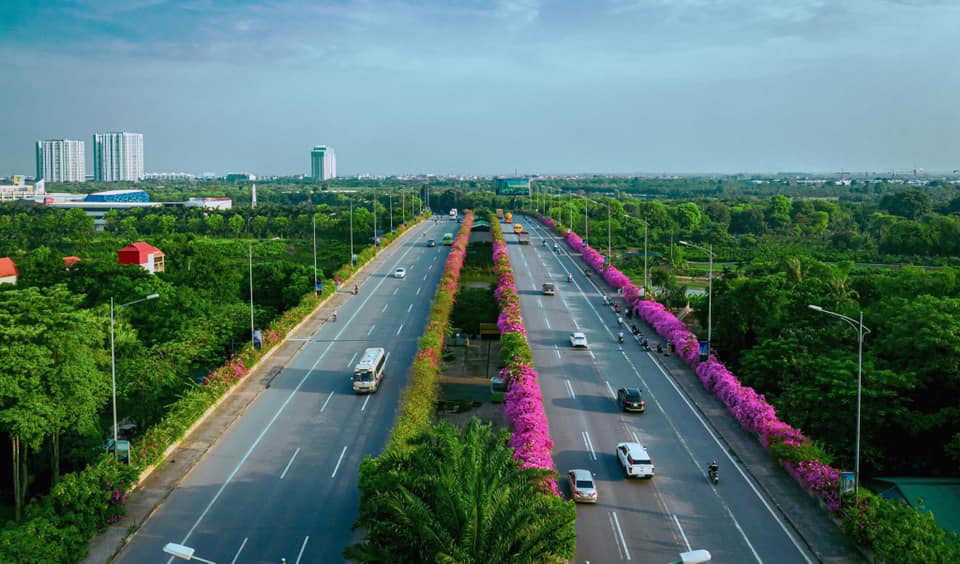 cầu Bắc Hưng Hải Ecopark vào lễ hội hoa xuân Ecopark cầu Bắc Hưng Hải Ecopark vào lễ hội hoa xuân Ecopark