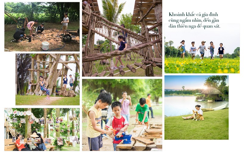 Review công viên hồ thiên nga Ecopark Văn Giang Hưng Yên Hà Nội - Swan Lake Park Review công viên hồ thiên nga Ecopark Văn Giang Hưng Yên Hà Nội - Swan Lake Park
