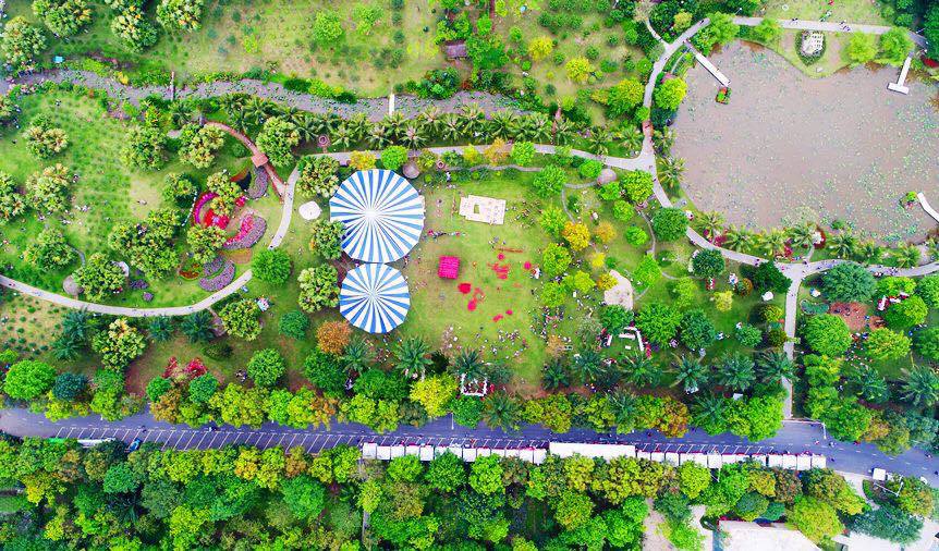 Lễ hội Hoa Xuân Ecopark - Công viên mùa xuân ngàn hoa Ecopark Lễ hội Hoa Xuân Ecopark - Công viên mùa xuân ngàn hoa Ecopark