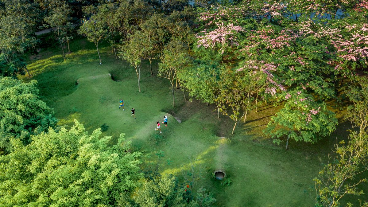 đường chạy bộ 6 giác quan ở ecopark