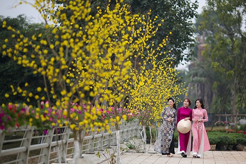 Du xuân 3 miền tại Ecopark