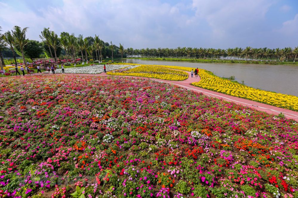 Lễ hội Hoa Xuân Ecopark - Công viên mùa xuân ngàn hoa Ecopark