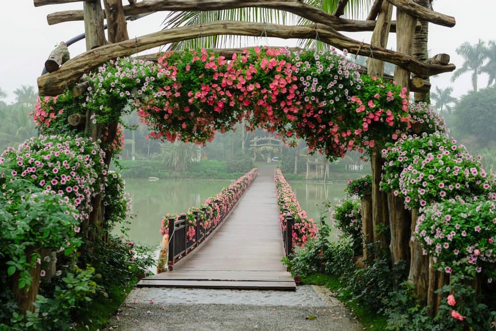 lễ hội mùa xuân Ecopark 2020 với chủ đề bản giao hưởng mùa xuân lễ hội mùa xuân Ecopark 2020 với chủ đề bản giao hưởng mùa xuân