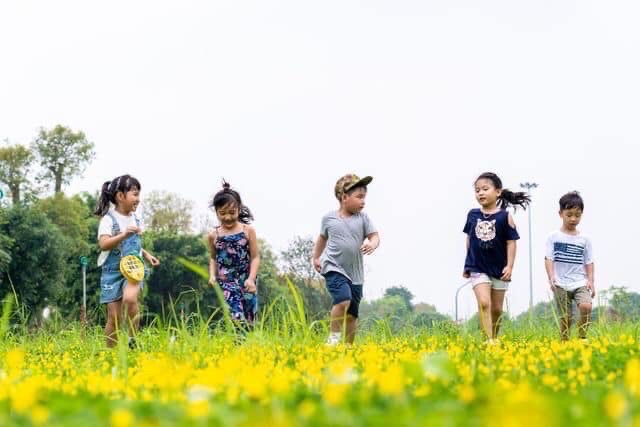 các hoạt động vui chơi tại khu đô thị Ecopark Văn Giang Hà Nội