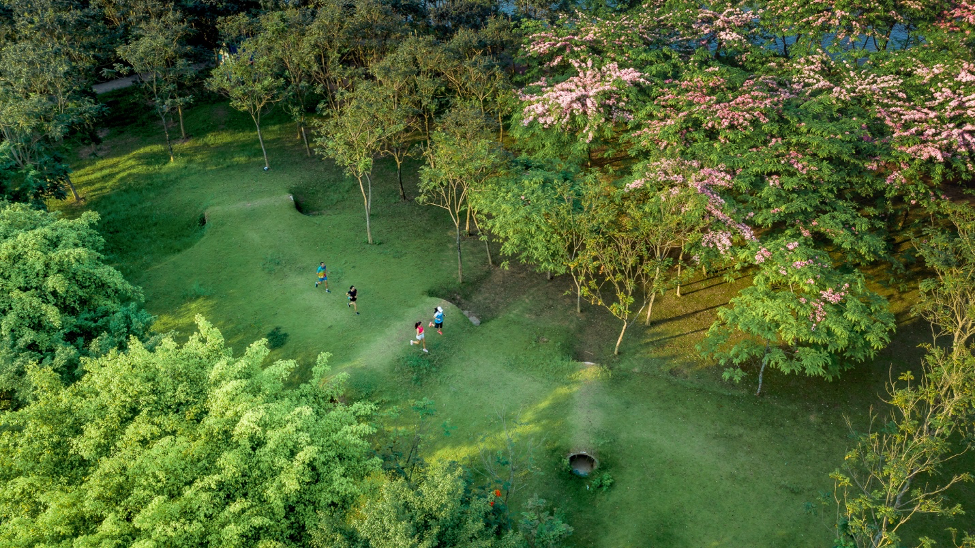 trai nghiem duong chay marathon ecopark